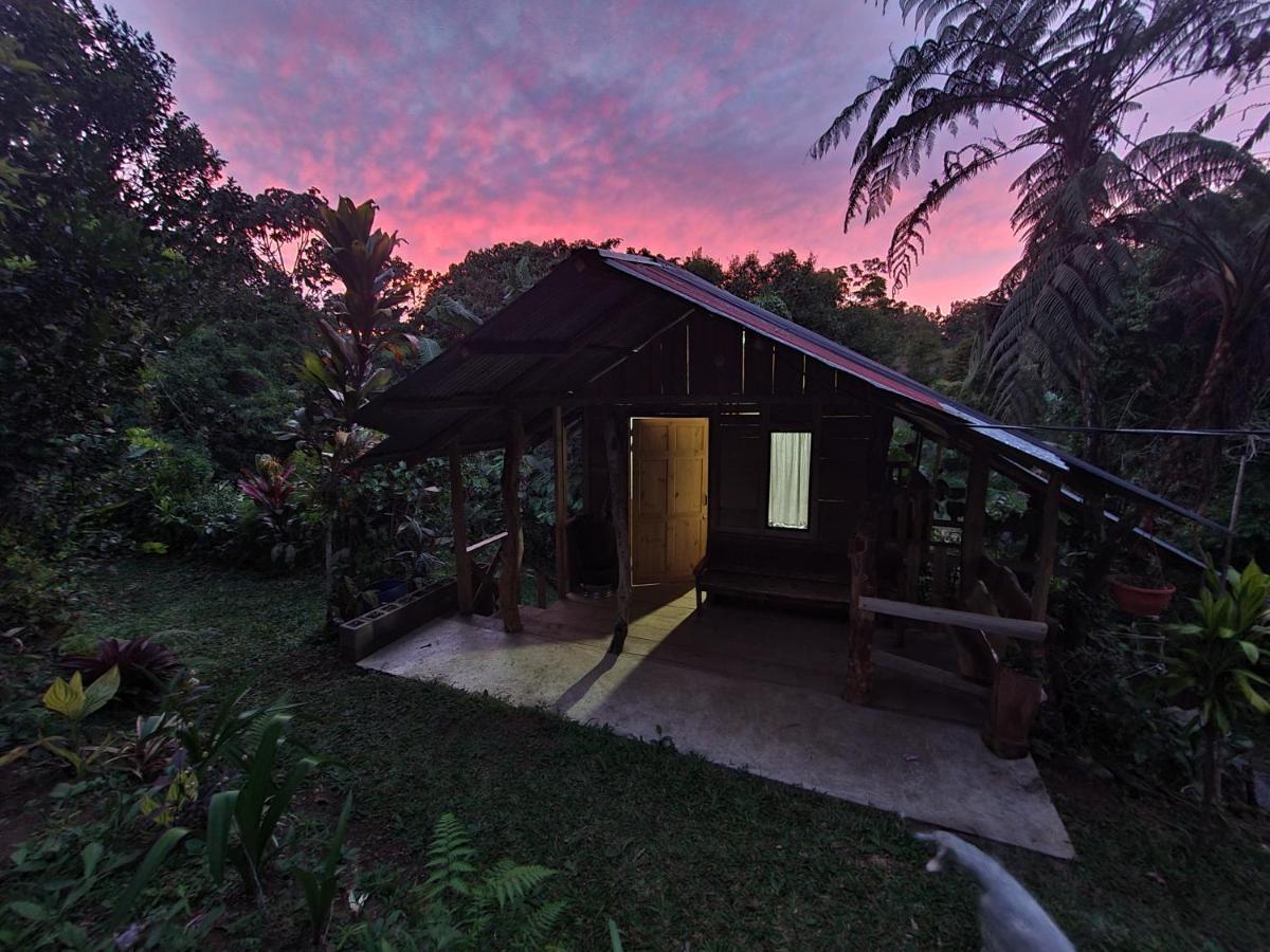 Cabana Maquique - San Vito Villa San Ramon  Exterior photo